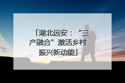 湖北远安：“三产融合”激活乡村振兴新动能
