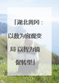湖北黄冈：以数为窗观变局 以智为镜促转型