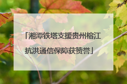 湘潭铁塔支援贵州榕江抗洪通信保障获赞誉