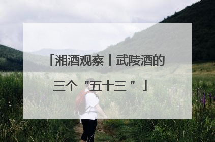 湘酒观察丨武陵酒的三个“五十三 ”