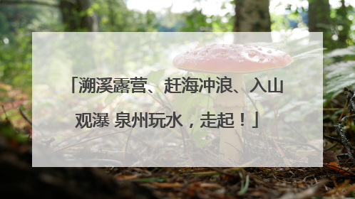 溯溪露营、赶海冲浪、入山观瀑 泉州玩水，走起！