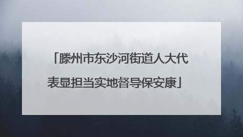 滕州市东沙河街道人大代表显担当实地督导保安康