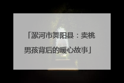 漯河市舞阳县：卖桃男孩背后的暖心故事