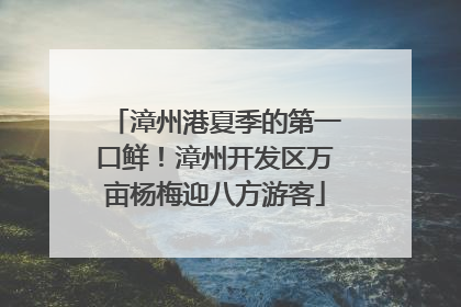 漳州港夏季的第一口鲜！漳州开发区万亩杨梅迎八方游客