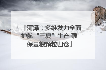 菏泽：多维发力全面护航“三夏”生产 确保夏粮颗粒归仓