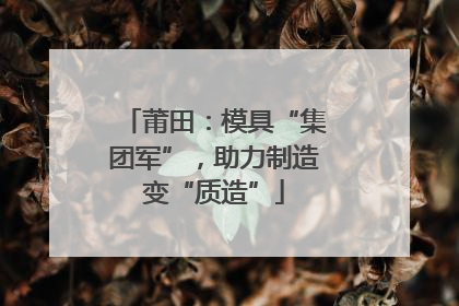 莆田：模具“集团军”，助力制造变“质造”
