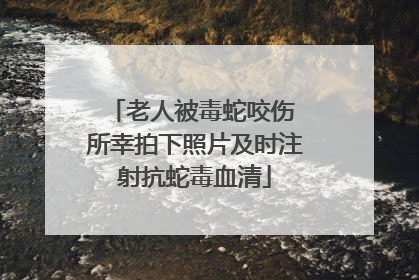 老人被毒蛇咬伤 所幸拍下照片及时注射抗蛇毒血清