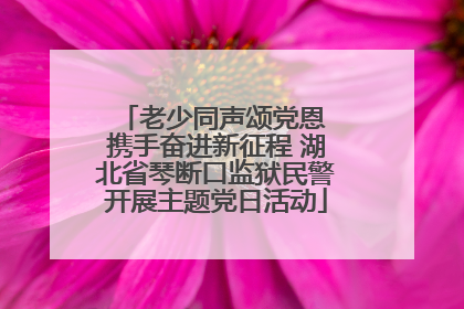 老少同声颂党恩 携手奋进新征程 湖北省琴断口监狱民警开展主题党日活动