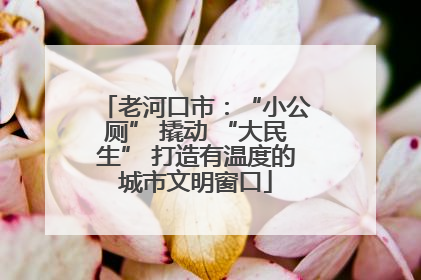 老河口市：“小公厕” 撬动 “大民生” 打造有温度的城市文明窗口
