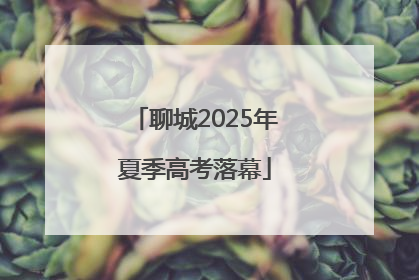 聊城2025年夏季高考落幕