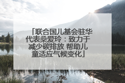 联合国儿基会驻华代表桑爱玲：致力于减少碳排放 帮助儿童适应气候变化