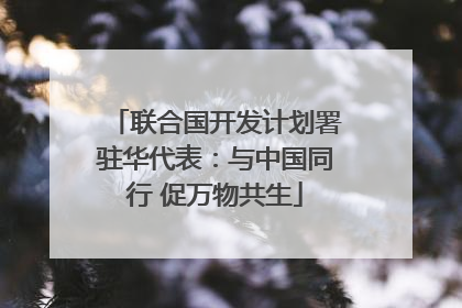 联合国开发计划署驻华代表：与中国同行 促万物共生