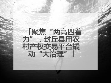 聚焦“两高四着力”，封丘县用农村产权交易平台撬动“大治理”