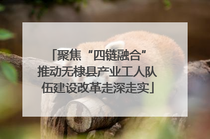 聚焦“四链融合” 推动无棣县产业工人队伍建设改革走深走实