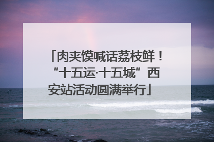 肉夹馍喊话荔枝鲜！“十五运·十五城”西安站活动圆满举行