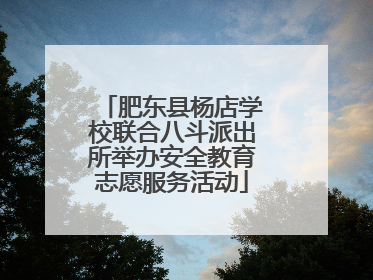 肥东县杨店学校联合八斗派出所举办安全教育志愿服务活动
