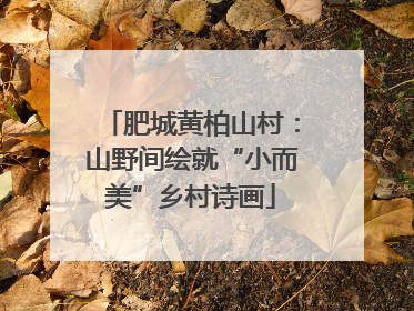 肥城黄柏山村：山野间绘就“小而美”乡村诗画