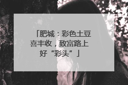 肥城：彩色土豆喜丰收，致富路上好“彩头”