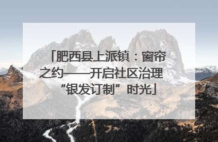 肥西县上派镇：窗帘之约——开启社区治理“银发订制”时光