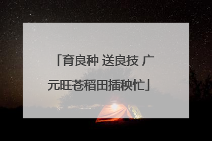 育良种 送良技 广元旺苍稻田插秧忙