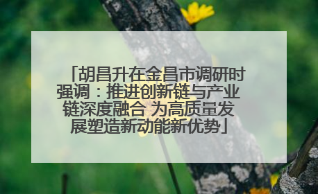 胡昌升在金昌市调研时强调：推进创新链与产业链深度融合 为高质量发展塑造新动能新优势