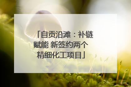 自贡沿滩：补链赋能 新签约两个精细化工项目