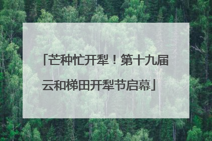 芒种忙开犁！第十九届云和梯田开犁节启幕
