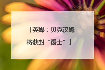 英媒：贝克汉姆将获封“爵士”