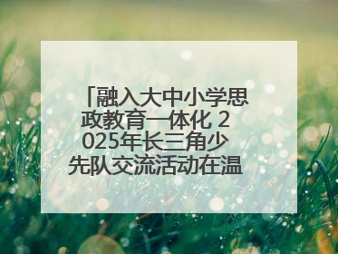 融入大中小学思政教育一体化 2025年长三角少先队交流活动在温岭举办