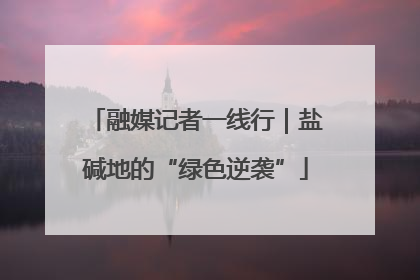 融媒记者一线行｜盐碱地的“绿色逆袭”