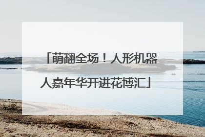 萌翻全场！人形机器人嘉年华开进花博汇