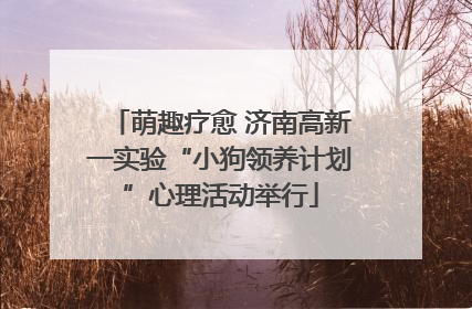 萌趣疗愈 济南高新一实验“小狗领养计划”心理活动举行