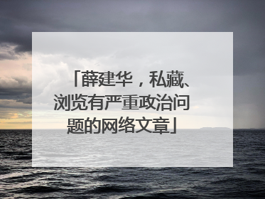 薛建华，私藏、浏览有严重政治问题的网络文章