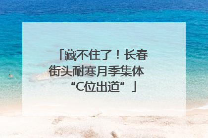 藏不住了！长春街头耐寒月季集体“C位出道”
