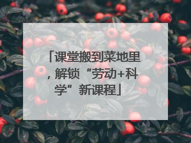 课堂搬到菜地里，解锁“劳动+科学”新课程
