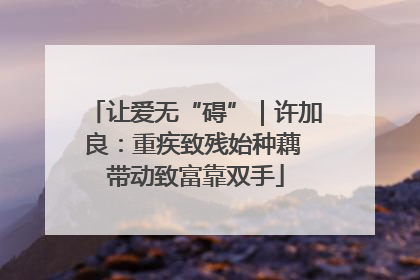 让爱无“碍”｜许加良：重疾致残始种藕 带动致富靠双手