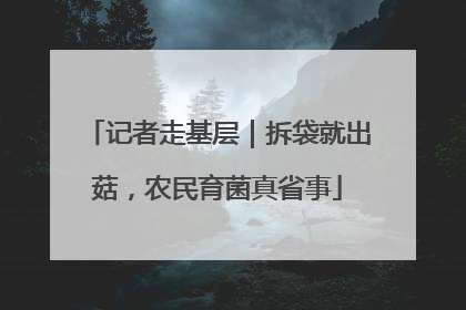 记者走基层｜拆袋就出菇，农民育菌真省事