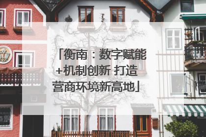 衡南：数字赋能+机制创新 打造营商环境新高地