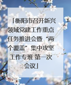 衡阳市召开新兴领域党建工作重点任务推进会暨“两个覆盖”集中攻坚工作专班 第一次会议
