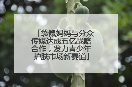 袋鼠妈妈与分众传媒达成五亿战略合作，发力青少年护肤市场新赛道