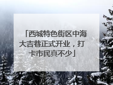 西城特色街区中海大吉巷正式开业，打卡市民真不少