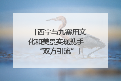 西宁与九寨用文化和美景实现携手“双方引流”