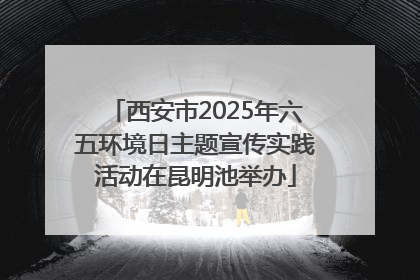 西安市2025年六五环境日主题宣传实践活动在昆明池举办