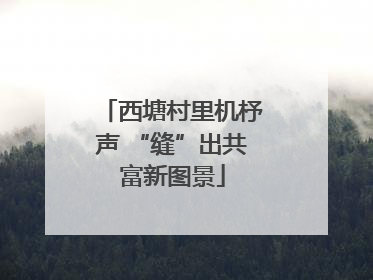 西塘村里机杼声 “缝”出共富新图景