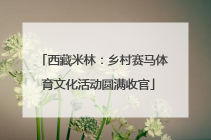 西藏米林：乡村赛马体育文化活动圆满收官