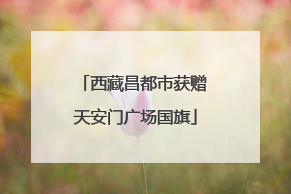 西藏昌都市获赠天安门广场国旗