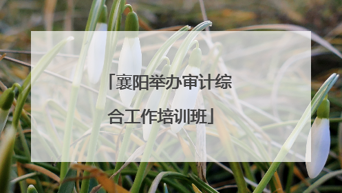 襄阳举办审计综合工作培训班