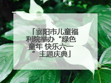 襄阳市儿童福利院举办“绿色童年 快乐六一”主题庆典