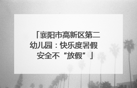 襄阳市高新区第二幼儿园：快乐度暑假 安全不“放假”