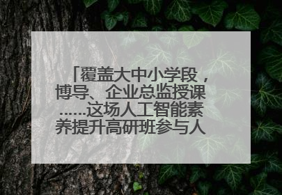 覆盖大中小学段，博导、企业总监授课……这场人工智能素养提升高研班参与人次达30万